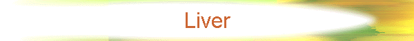 Liver