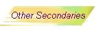 Other Secondaries